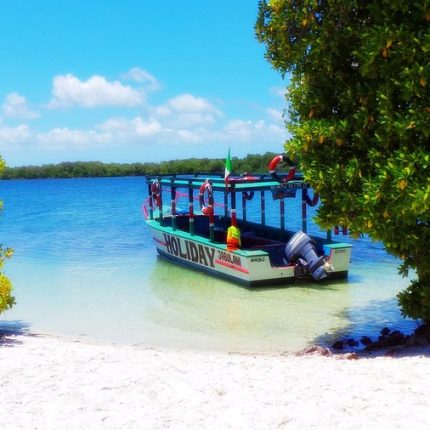 Day Tour & Excursions At Mida Creek And Gede Museum