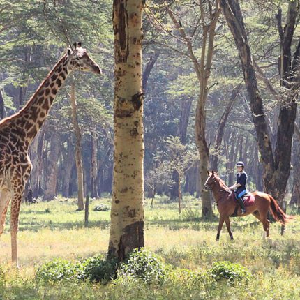 Day Trips To Hell’s Gate National Park And Horse Riding At Sanctuary Farm