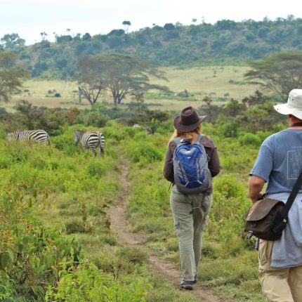 Day Tour To Mount Longonot Park From Nairobi