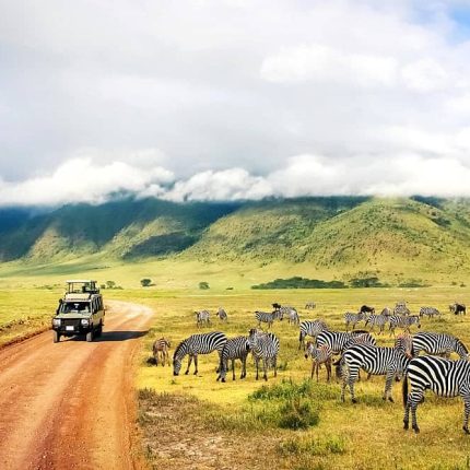 9 Days, 8 Nights Kenya & Tanzania Budget Group Camping Safari Package