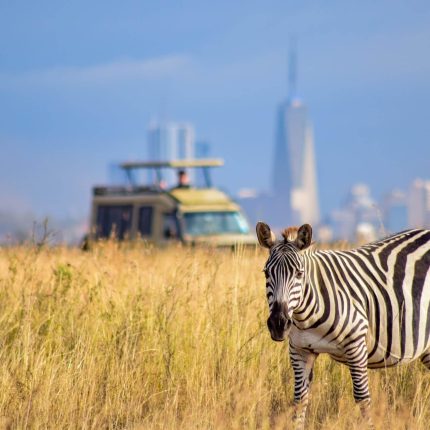 Half Day Morning/Afternoon Tour To Nairobi National Park
