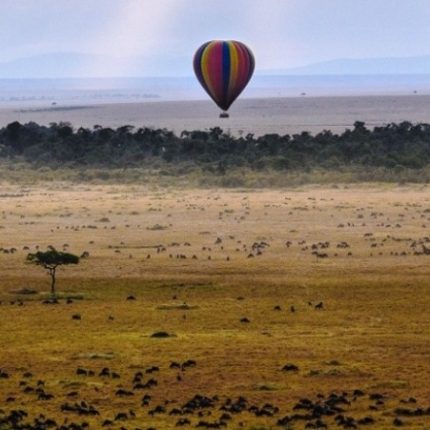 Sunrise Hot Air Balloon In Masai Mara