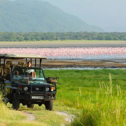 Day Tour To Lake Manyara National Park From Arusha