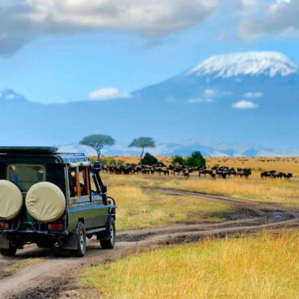 Private Overnight Safari To Amboseli From Nairobi
